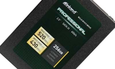 Free Inland 256GB SSD Card