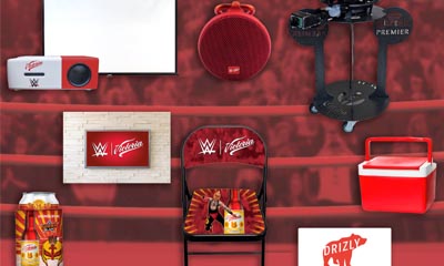 Free WWE Folding Chair