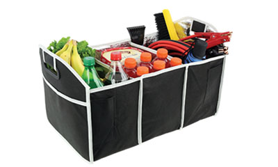 Free Insulated Trunk Organiser with AARP Membership