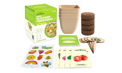 Free Salad Garden Grow Kit