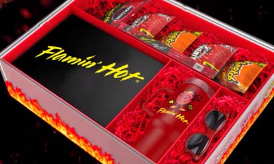Free Cheetos Flamin' Hot Swag Kit