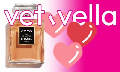 Coco Chanel Perfume Just $6.95