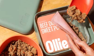 Ollie 60% OFF First Box + FREE Bowl