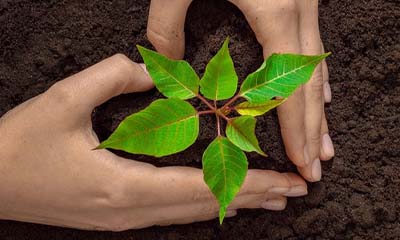 Free Plantable Seed Paper Heart
