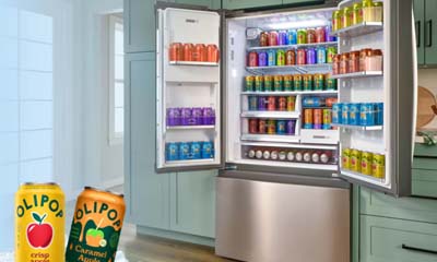 Free Whirlpool Nugget Ice Refrigerator
